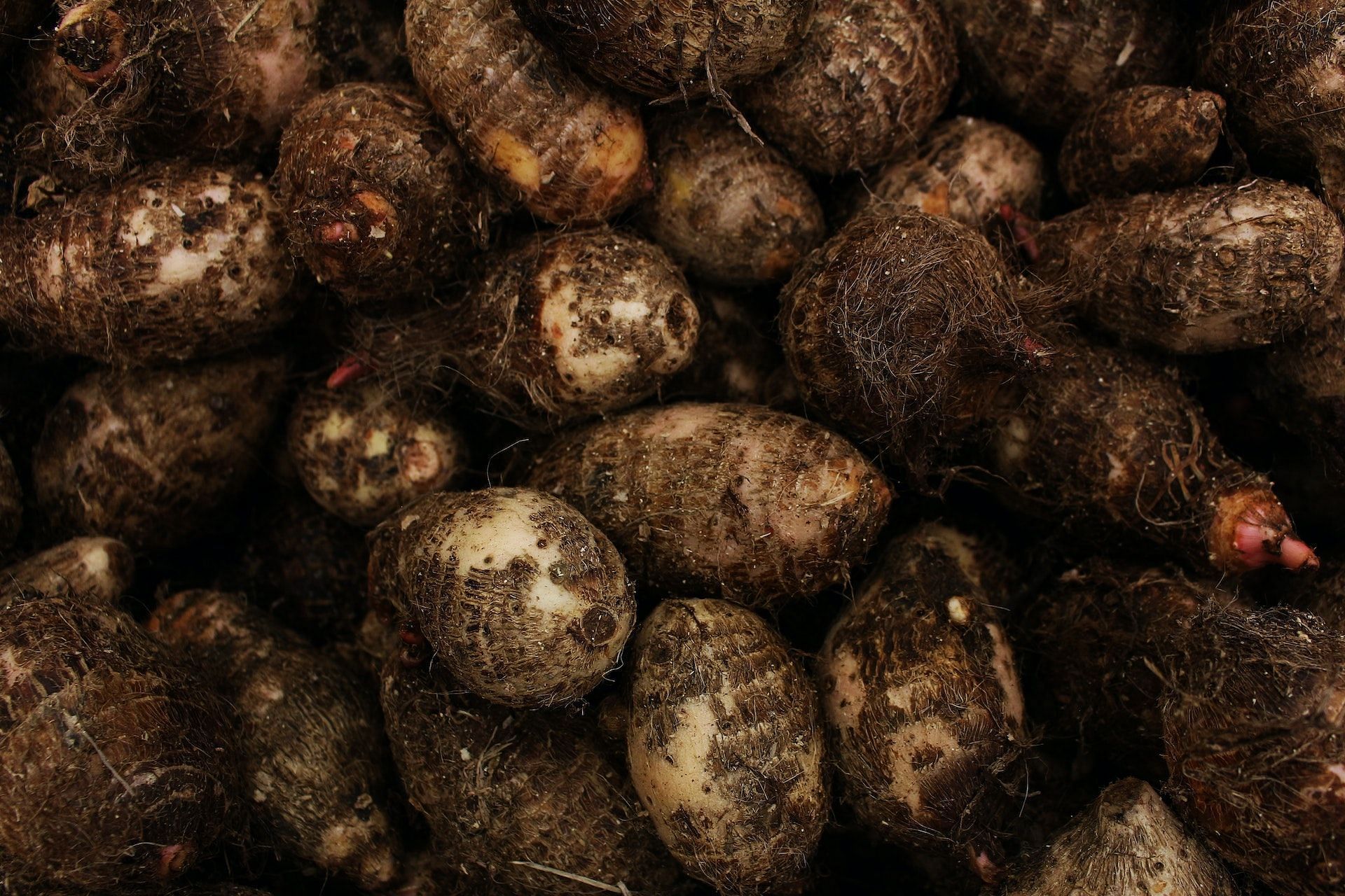 Yams are rich in carbohydrates. (Image via Pexels/Daniel Dan)